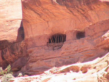 Arch Canyon cliff dwelling